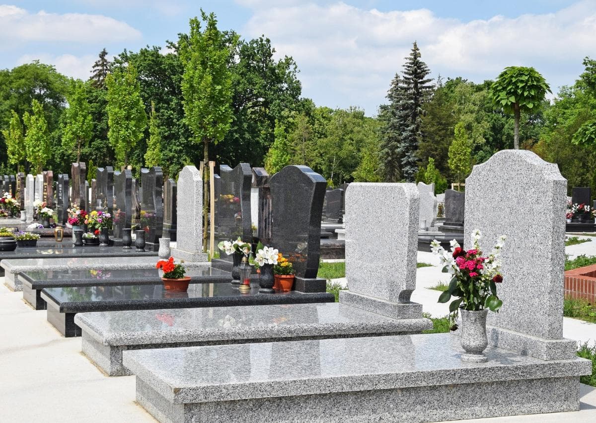 champs de marbreries avec vases